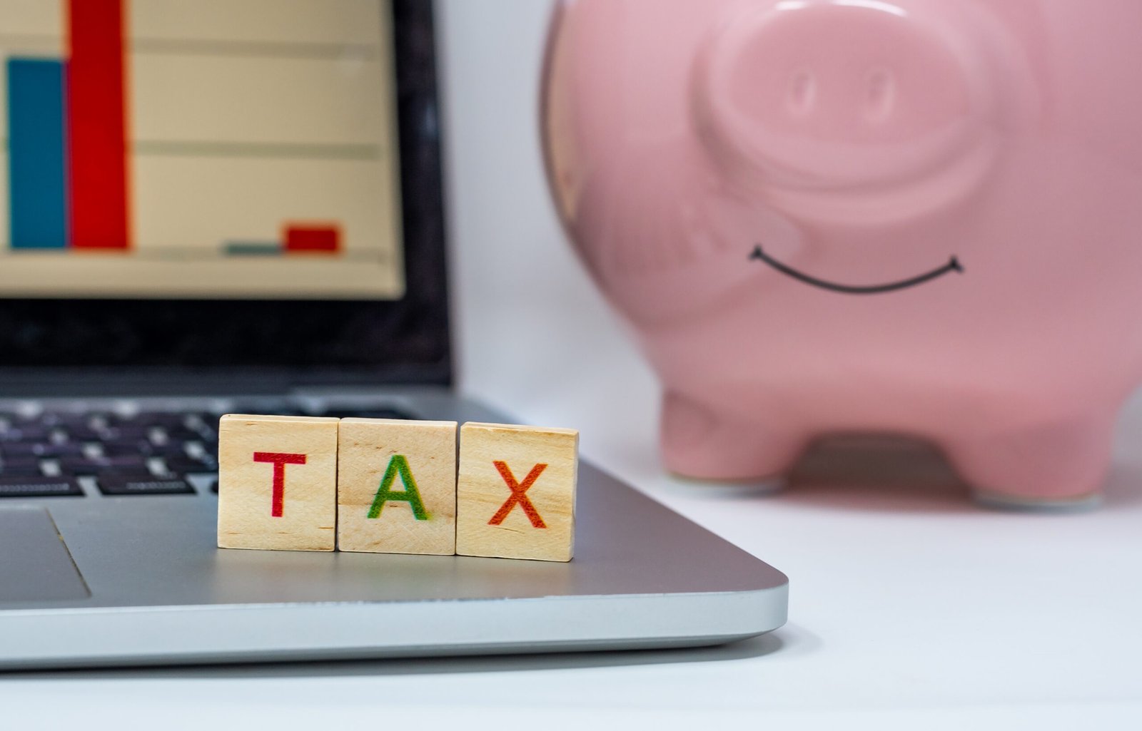 Individual Tax Filing