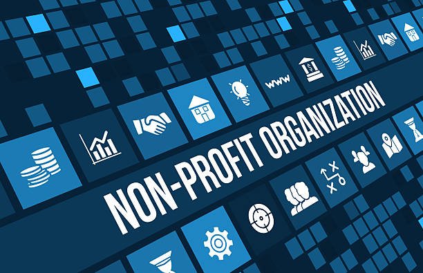 Non-Profit Organization Tax Filing